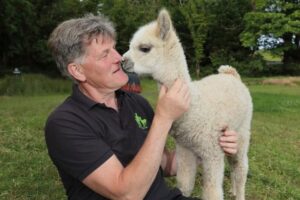 Alpaca K2 Therapeutic 6 Trek Siobhan Mc Sweeney MCS Case Management Ltd Clinical Personal Injury Case Management Dublin Ireland
